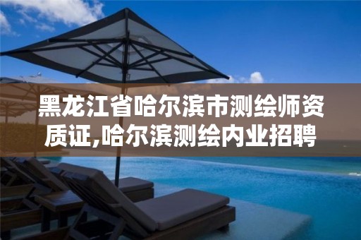 黑龙江省哈尔滨市测绘师资质证,哈尔滨测绘内业招聘信息