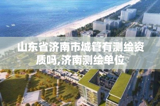 山东省济南市城管有测绘资质吗,济南测绘单位