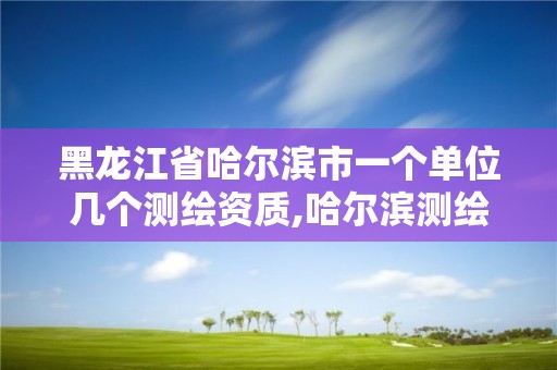 黑龙江省哈尔滨市一个单位几个测绘资质,哈尔滨测绘局招聘临时工。