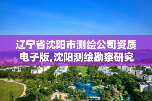 辽宁省沈阳市测绘公司资质电子版,沈阳测绘勘察研究院有限公司。