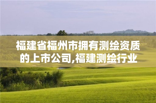 福建省福州市拥有测绘资质的上市公司,福建测绘行业哪个待遇最好。