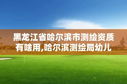 黑龙江省哈尔滨市测绘资质有啥用,哈尔滨测绘局幼儿园是民办还是公办