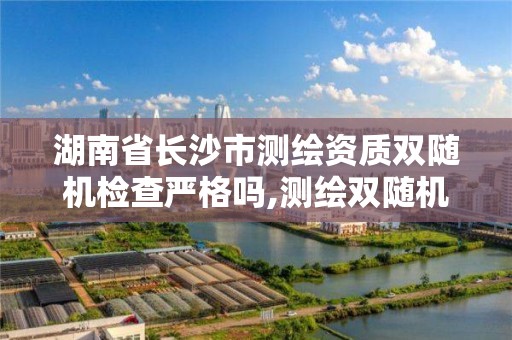 湖南省长沙市测绘资质双随机检查严格吗,测绘双随机一公开