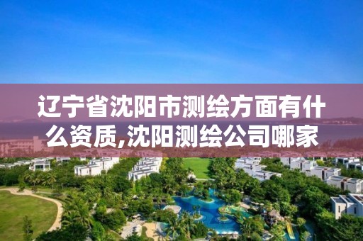 辽宁省沈阳市测绘方面有什么资质,沈阳测绘公司哪家强哪家好