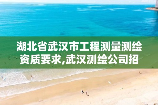 湖北省武汉市工程测量测绘资质要求,武汉测绘公司招聘。