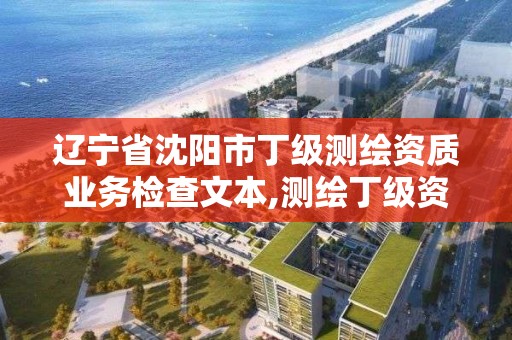 辽宁省沈阳市丁级测绘资质业务检查文本,测绘丁级资质申报条件