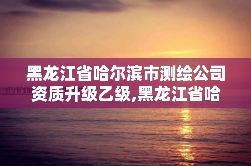 黑龙江省哈尔滨市测绘公司资质升级乙级,黑龙江省哈尔滨市测绘局