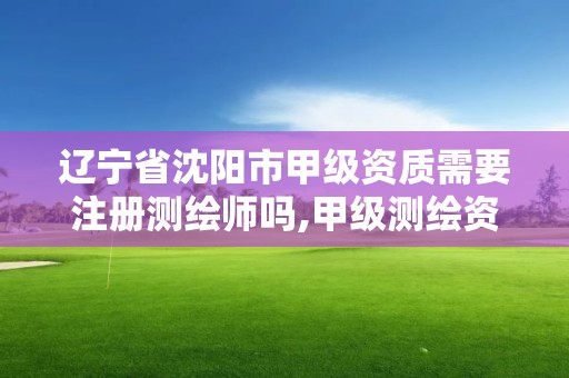 辽宁省沈阳市甲级资质需要注册测绘师吗,甲级测绘资质需要多少人。