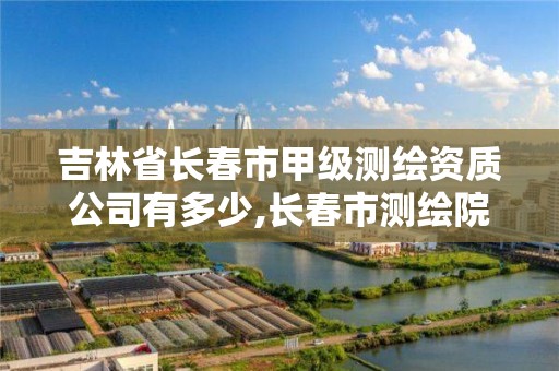 吉林省长春市甲级测绘资质公司有多少,长春市测绘院工资待遇。