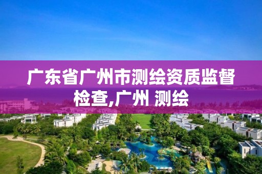 广东省广州市测绘资质监督检查,广州 测绘