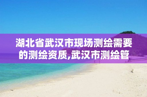 湖北省武汉市现场测绘需要的测绘资质,武汉市测绘管理条例