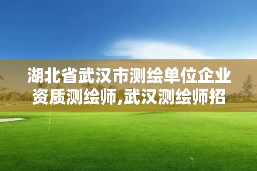 湖北省武汉市测绘单位企业资质测绘师,武汉测绘师招聘