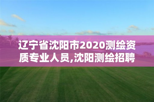 辽宁省沈阳市2020测绘资质专业人员,沈阳测绘招聘信息