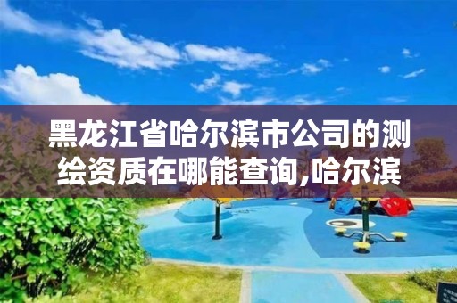 黑龙江省哈尔滨市公司的测绘资质在哪能查询,哈尔滨测绘局幼儿园是民办还是公办。