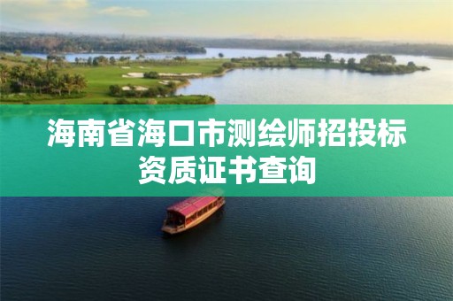 海南省海口市测绘师招投标资质证书查询