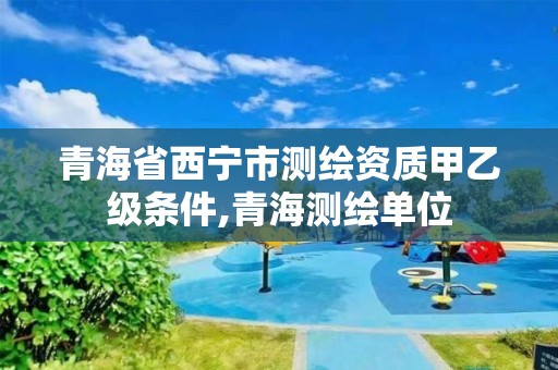 青海省西宁市测绘资质甲乙级条件,青海测绘单位