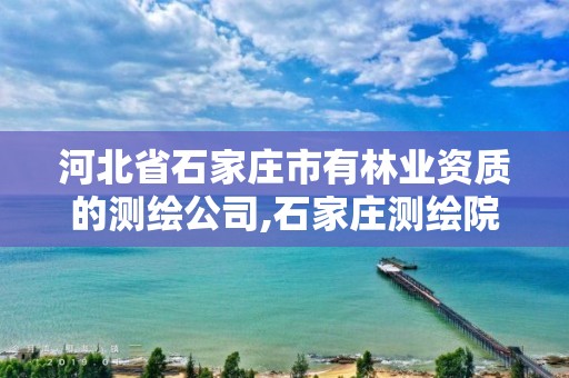 河北省石家庄市有林业资质的测绘公司,石家庄测绘院是国企吗。