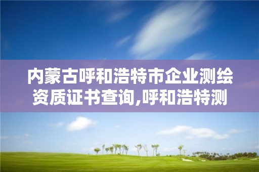 内蒙古呼和浩特市企业测绘资质证书查询,呼和浩特测绘局属于什么单位管理