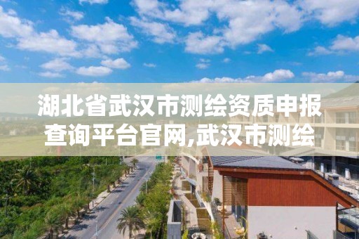 湖北省武汉市测绘资质申报查询平台官网,武汉市测绘管理条例。