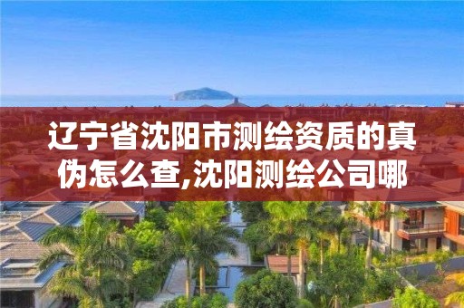 辽宁省沈阳市测绘资质的真伪怎么查,沈阳测绘公司哪家强哪家好