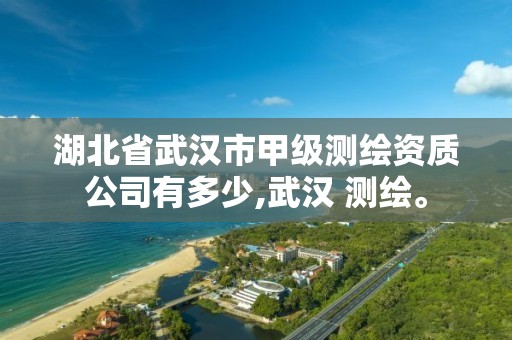 湖北省武汉市甲级测绘资质公司有多少,武汉 测绘。