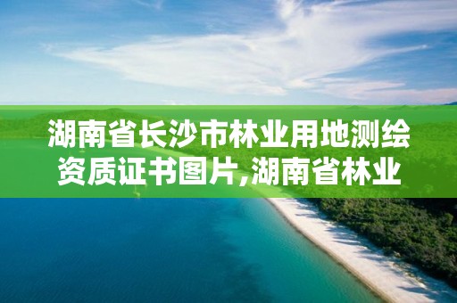 湖南省长沙市林业用地测绘资质证书图片,湖南省林业勘测院。