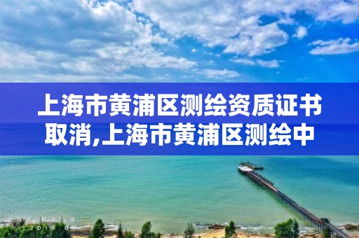 上海市黄浦区测绘资质证书取消,上海市黄浦区测绘中心