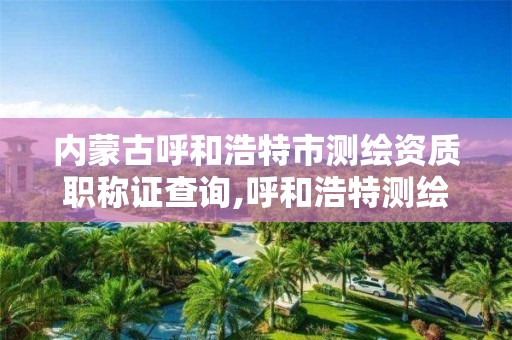 内蒙古呼和浩特市测绘资质职称证查询,呼和浩特测绘有限公司