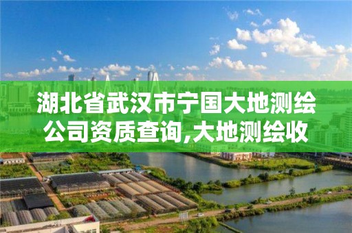 湖北省武汉市宁国大地测绘公司资质查询,大地测绘收费标准。