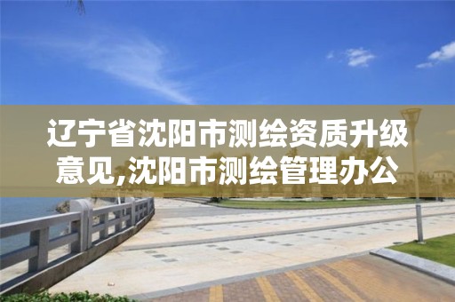 辽宁省沈阳市测绘资质升级意见,沈阳市测绘管理办公室