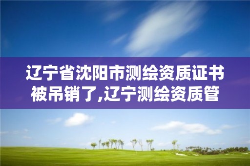 辽宁省沈阳市测绘资质证书被吊销了,辽宁测绘资质管理系统登录。