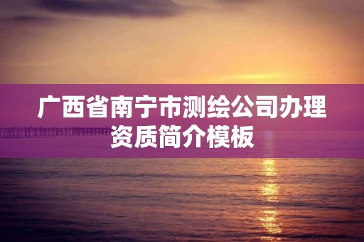 广西省南宁市测绘公司办理资质简介模板