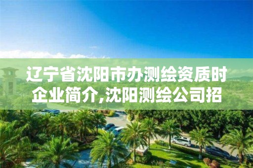 辽宁省沈阳市办测绘资质时企业简介,沈阳测绘公司招聘。