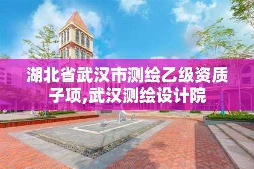 湖北省武汉市测绘乙级资质子项,武汉测绘设计院