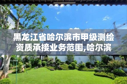 黑龙江省哈尔滨市甲级测绘资质承接业务范围,哈尔滨测绘局怎么样。