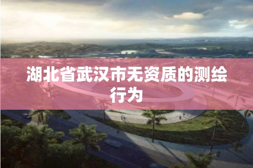 湖北省武汉市无资质的测绘行为