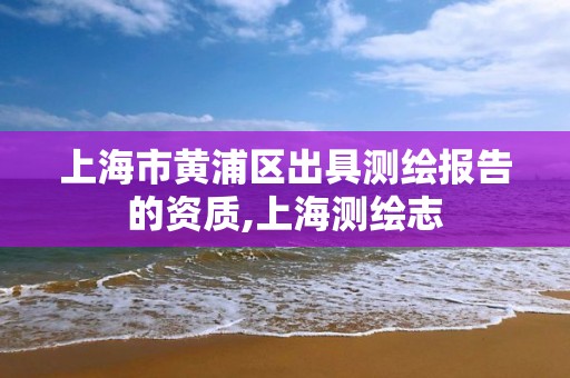 上海市黄浦区出具测绘报告的资质,上海测绘志