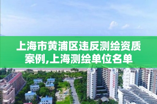 上海市黄浦区违反测绘资质案例,上海测绘单位名单