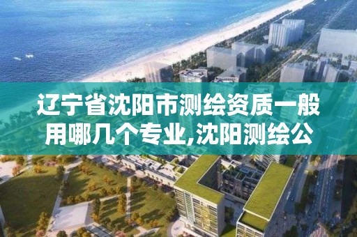 辽宁省沈阳市测绘资质一般用哪几个专业,沈阳测绘公司招聘信息最新招聘