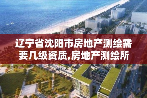 辽宁省沈阳市房地产测绘需要几级资质,房地产测绘所是政府机构吗。