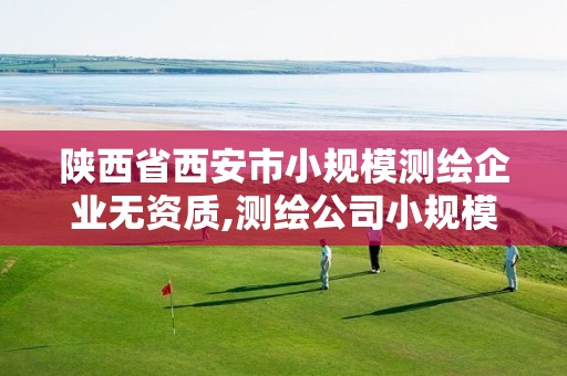 陕西省西安市小规模测绘企业无资质,测绘公司小规模纳税人报税