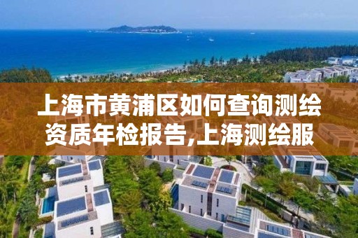 上海市黄浦区如何查询测绘资质年检报告,上海测绘服务中心