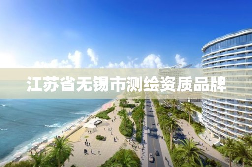 江苏省无锡市测绘资质品牌