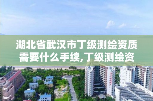 湖北省武汉市丁级测绘资质需要什么手续,丁级测绘资质申请人员条件。