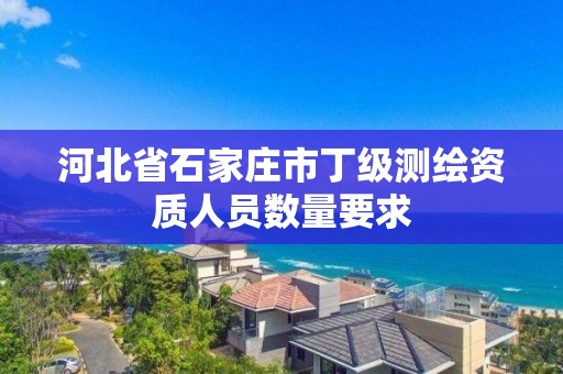 河北省石家庄市丁级测绘资质人员数量要求