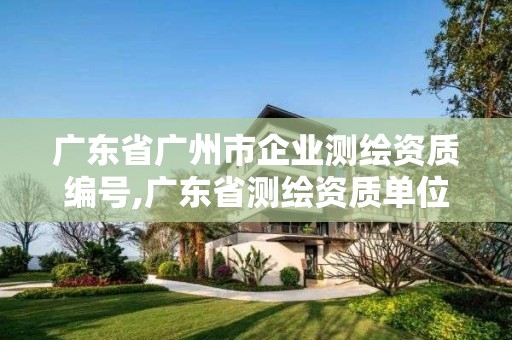 广东省广州市企业测绘资质编号,广东省测绘资质单位名单