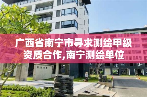 广西省南宁市寻求测绘甲级资质合作,南宁测绘单位