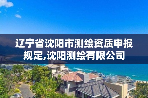 辽宁省沈阳市测绘资质申报规定,沈阳测绘有限公司