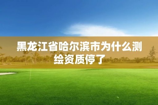 黑龙江省哈尔滨市为什么测绘资质停了