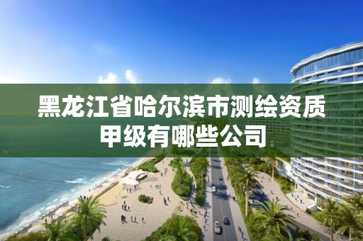 黑龙江省哈尔滨市测绘资质甲级有哪些公司